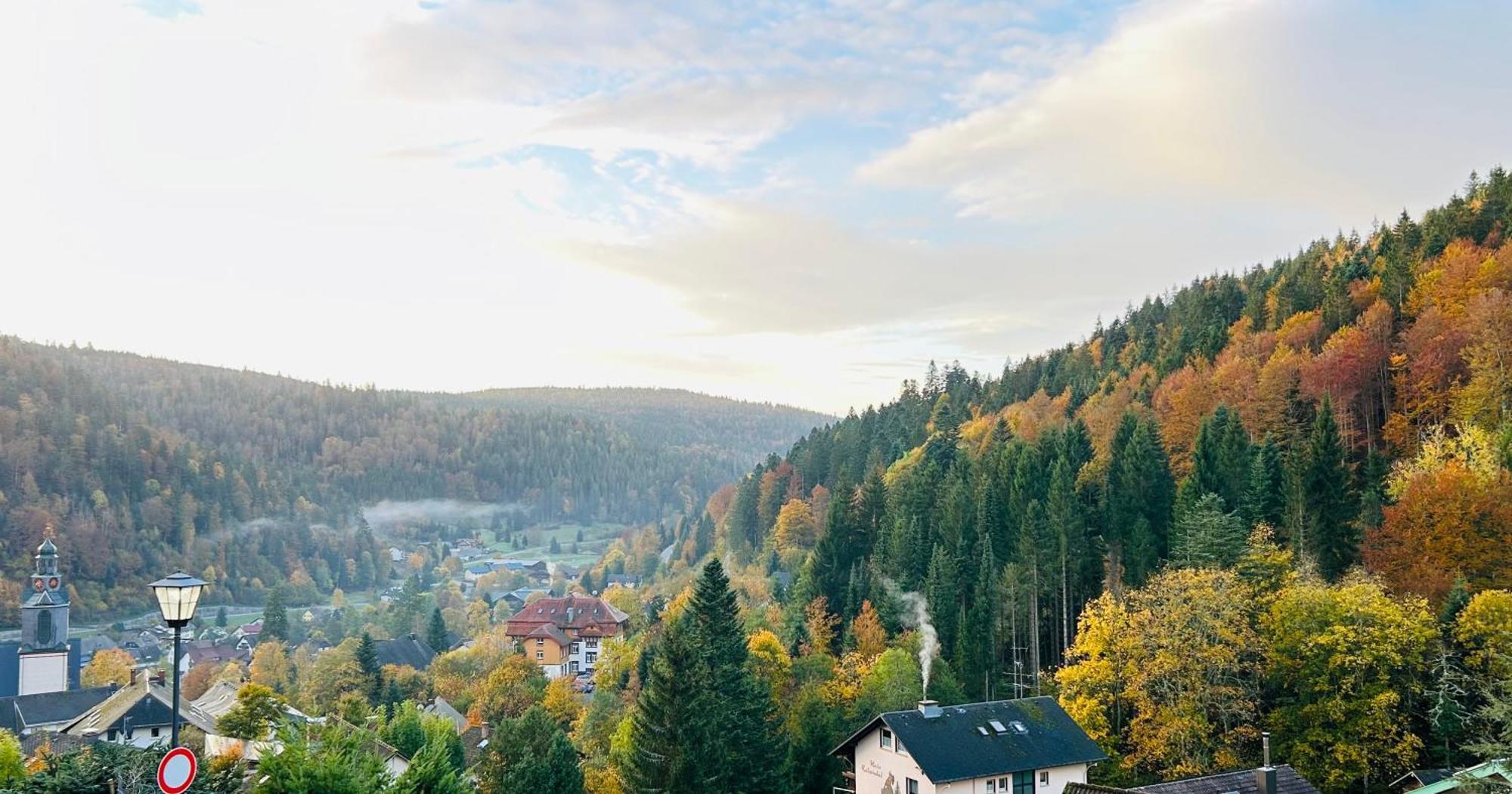 Ferienwohnung Panoramablick - Super Fuer Deine Familie Und Die Besten Aussicht In Ganz Todtmoos Exterior foto