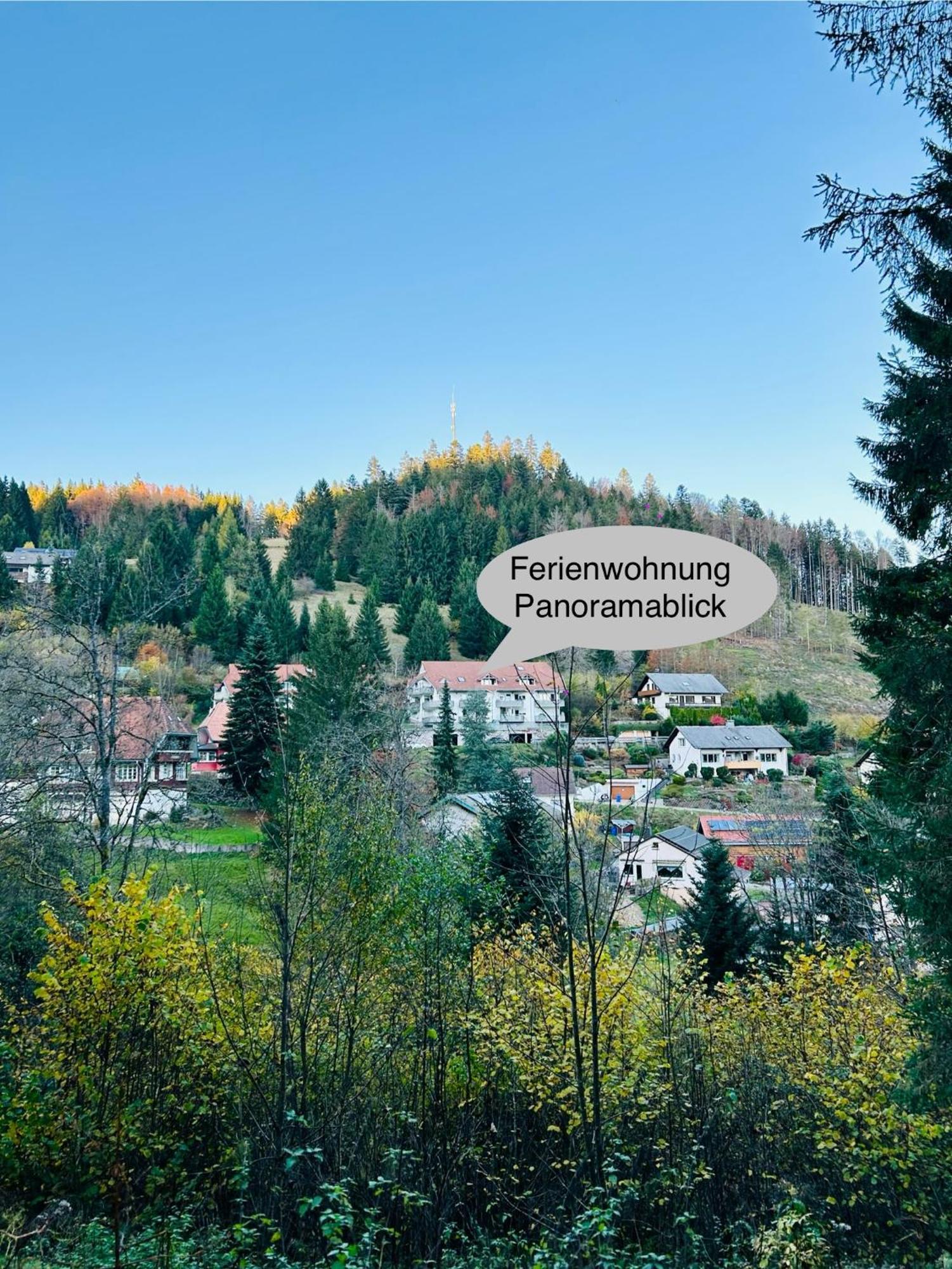 Ferienwohnung Panoramablick - Super Fuer Deine Familie Und Die Besten Aussicht In Ganz Todtmoos Exterior foto