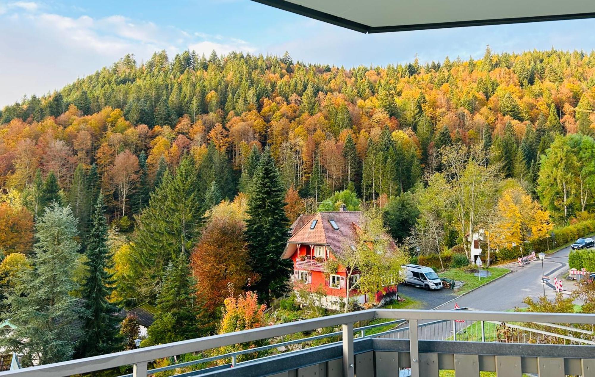Ferienwohnung Panoramablick - Super Fuer Deine Familie Und Die Besten Aussicht In Ganz Todtmoos Exterior foto